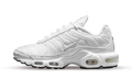 Nike Air Max Plus White Mesh