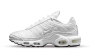 Nike Air Max Plus White Mesh