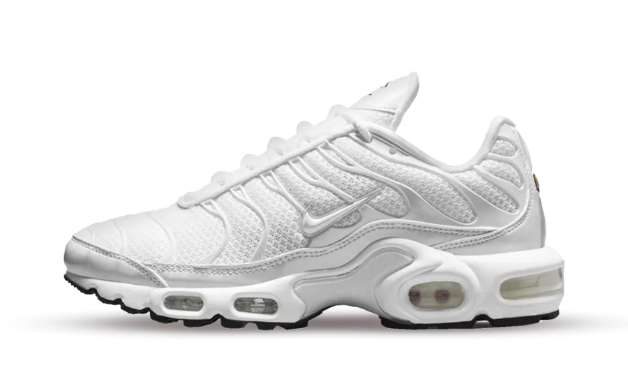 Nike Air Max Plus White Mesh — 36