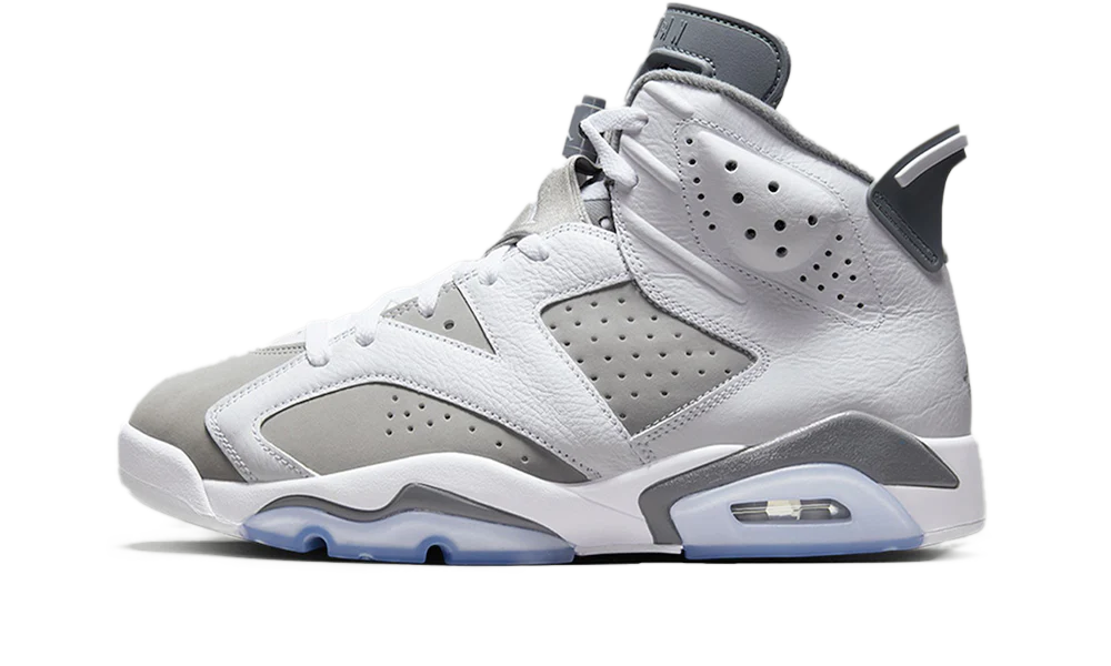 AIR JORDAN 6 RETRO COOL GREY — 36