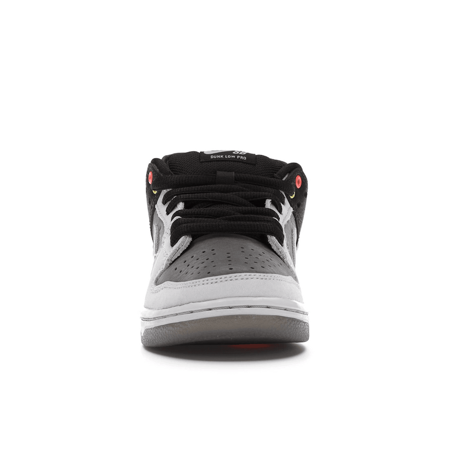 Dunk Low VX1000 Camcorder — 36