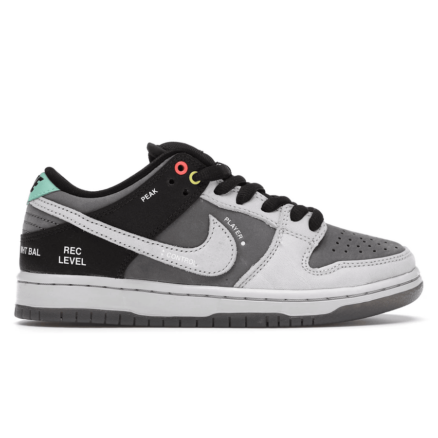 Dunk Low VX1000 Camcorder — 36