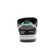 Dunk Low VX1000 Camcorder