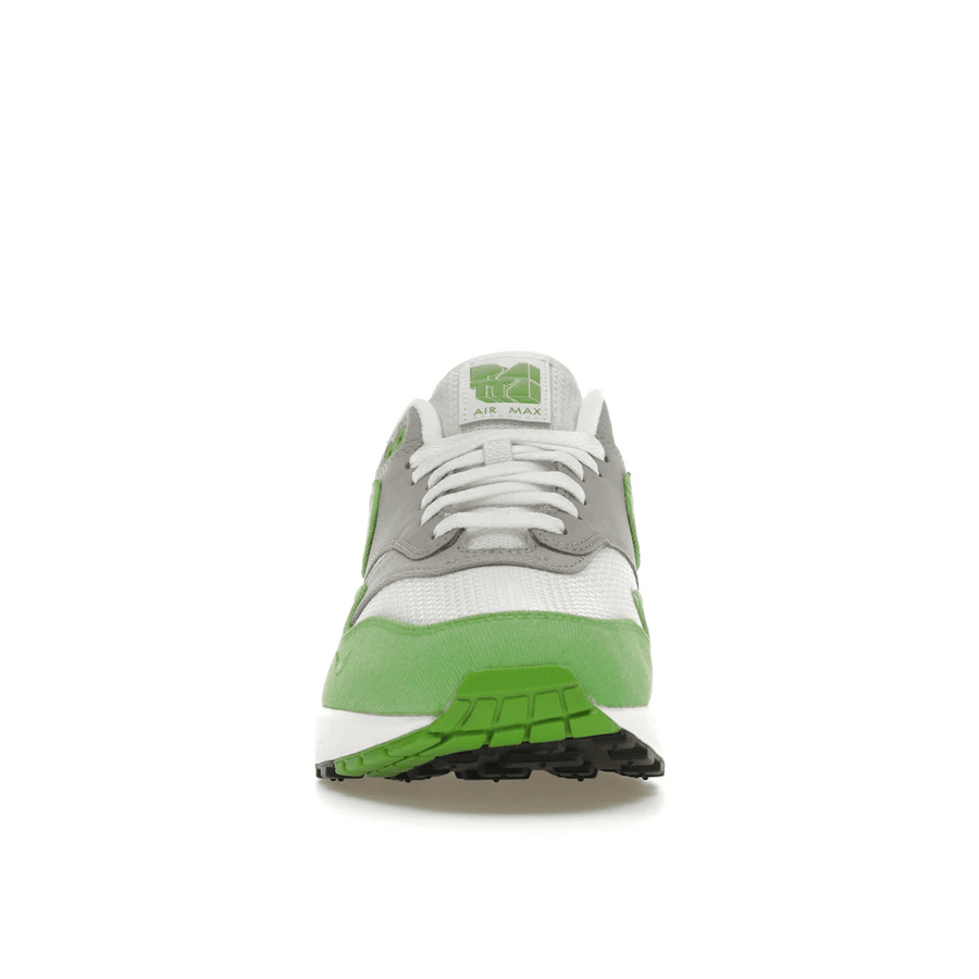 Nike Air Max 1 Patta 20th Anniversary Chlorophyll — 36