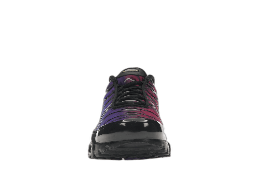 Nike Air Max Plus 25th Anniversary — 36