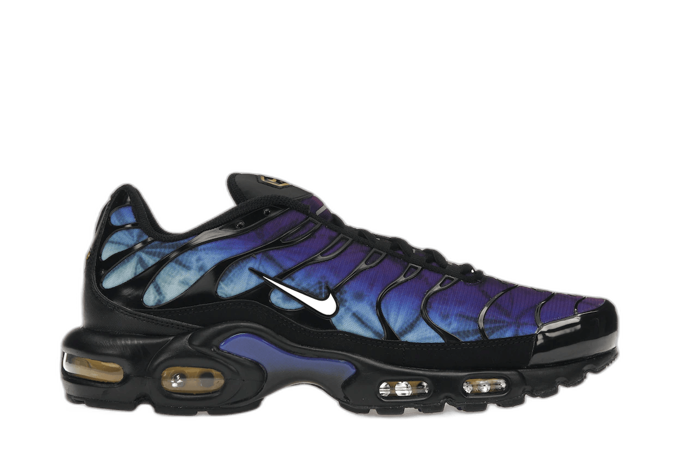 Nike Air Max Plus 25th Anniversary — 36