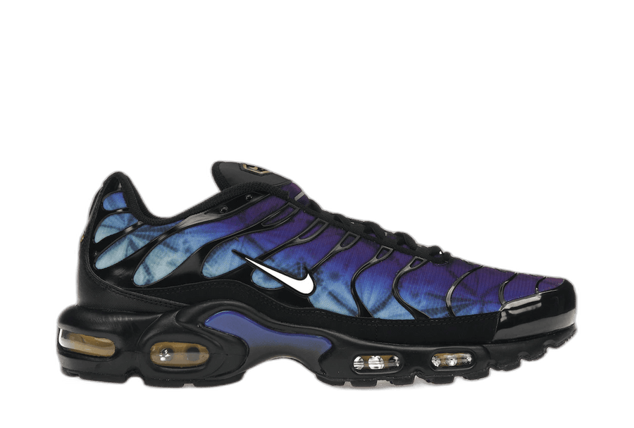 Nike Air Max Plus 25th Anniversary — 36