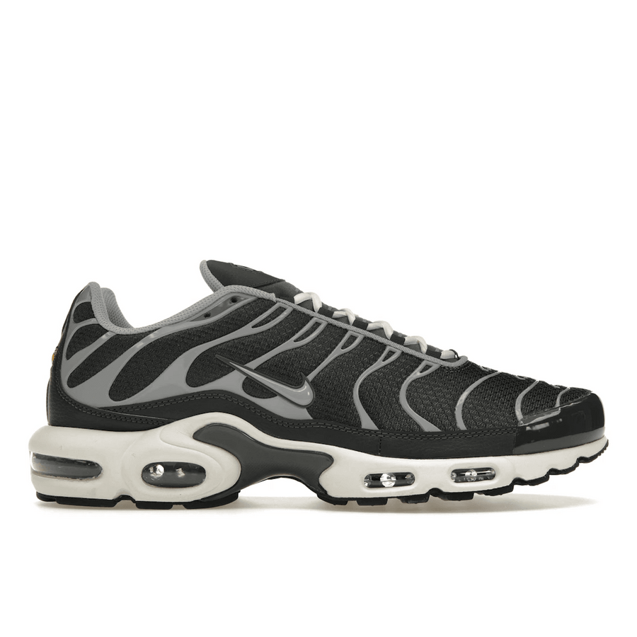 Nike Air Max Plus Greyscale Cool Grey — 36