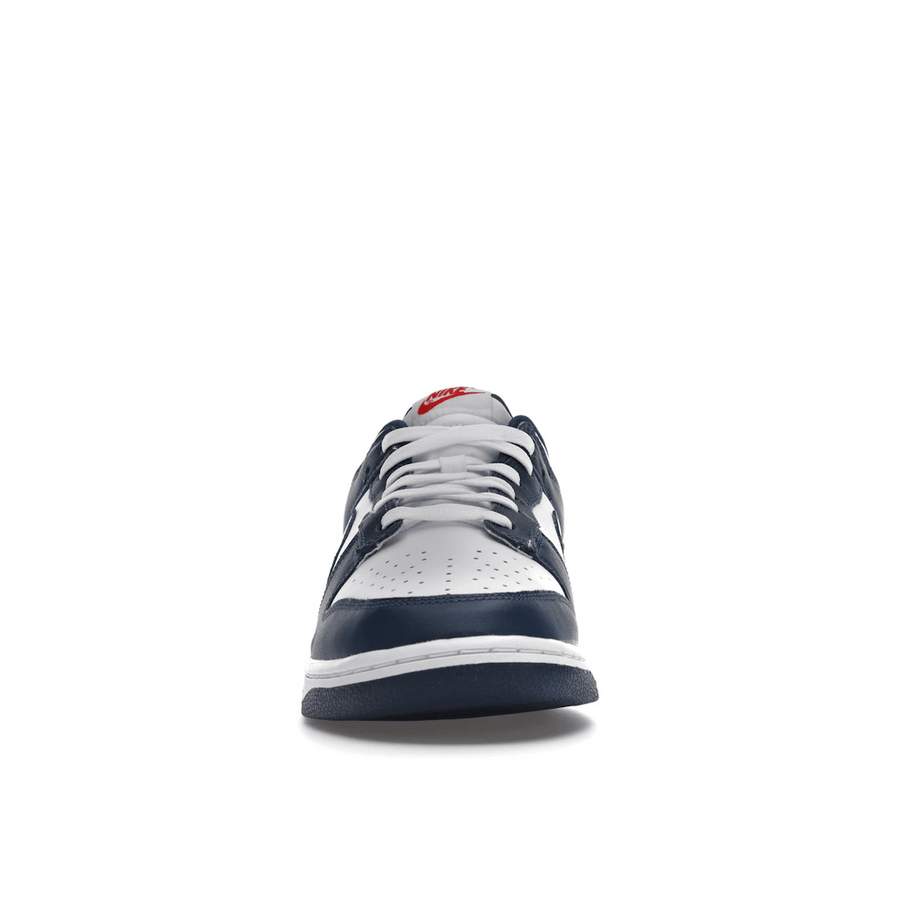 Nike Dunk Low Valerian Blue — 36