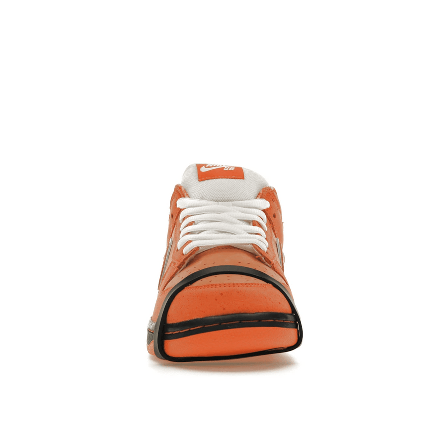 Nike SB Dunk Low Concepts Orange Lobster — 36